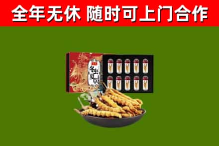 固原烟酒回收冬虫夏草礼盒.jpg